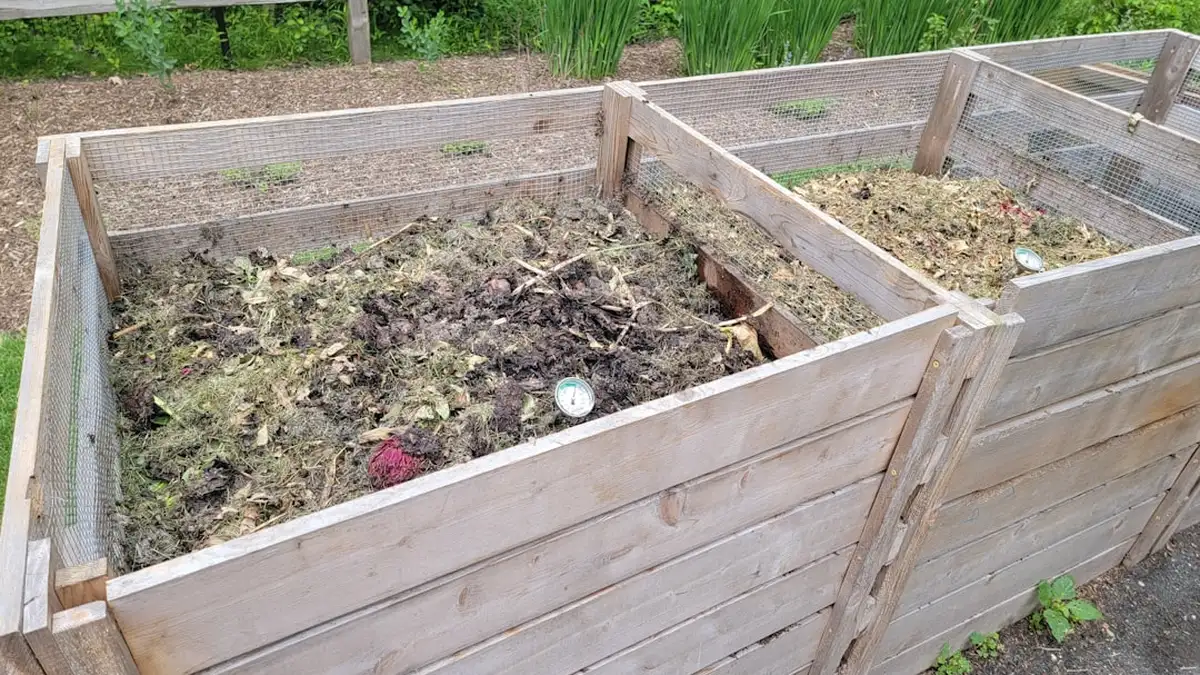 Réussir son compost au jardin en toute simplicité