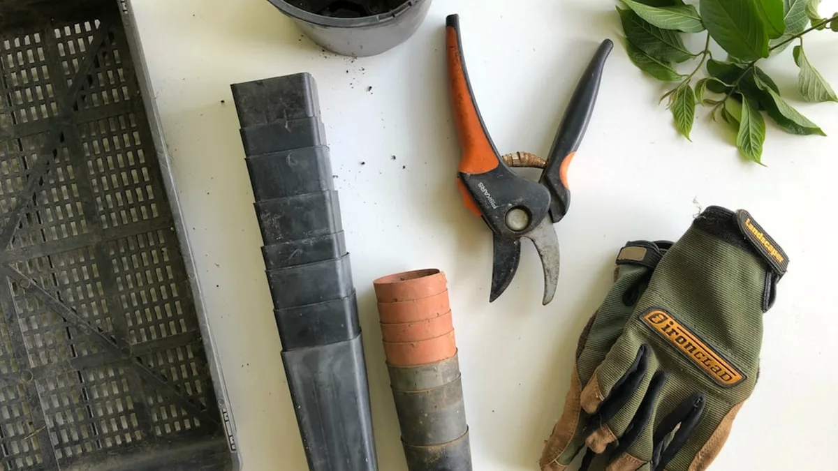 Entretenir ses outils de jardin : l'art de faire simple