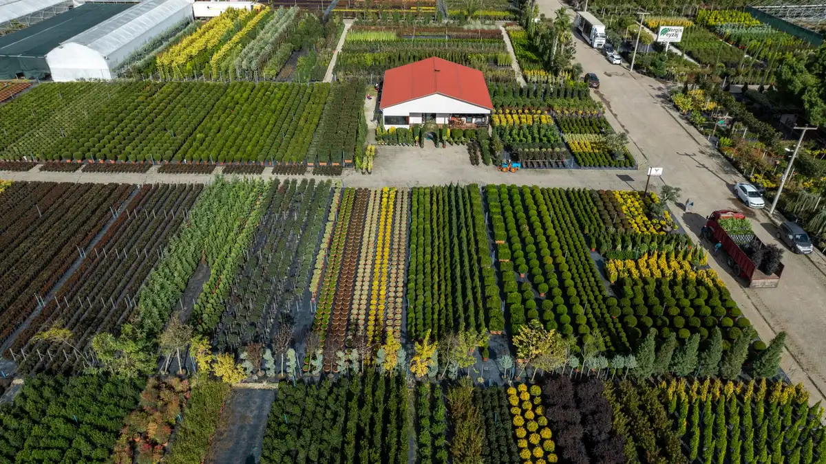 Planter une haie libre et facile en toute simplicité